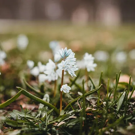 Gaestehaus Anita غايلينغِن