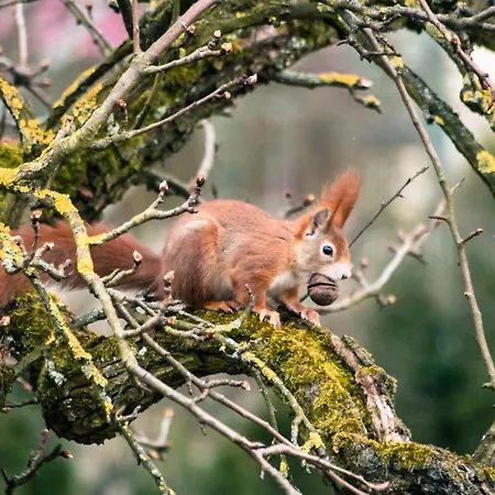بيت ضيافة Gaestehaus Anita غايلينغِن