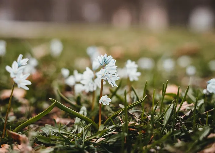 Gaestehaus Anita Gailingen