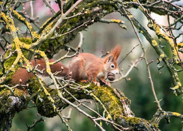 Πανσιόν Gaestehaus Anita Gailingen